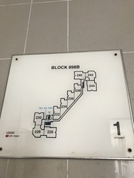 Blk 898B Woodlands Drive 50 (Woodlands), HDB 5 Rooms #197819932